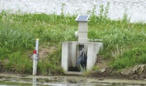 クボタの水管理システムWATARAS
